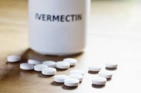 Photo of Buy ivermectin | Anti-parasite | It’s uses | Side effects.