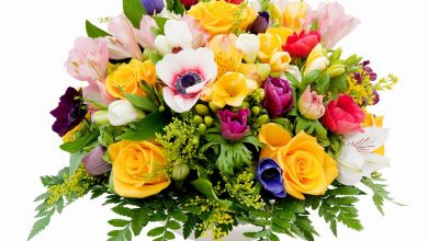 Photo of Enjoy Your Flowers And Gift Collection Deals online