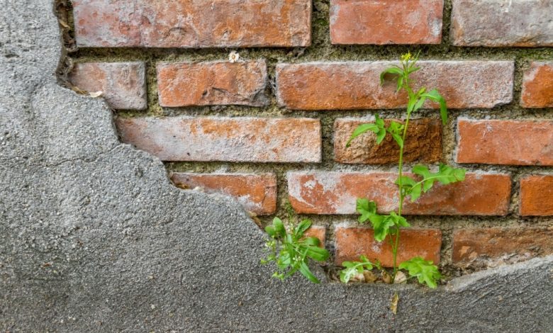 retaining-wall-repairs-in-sydney