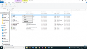 recover deleted data from recycle bin