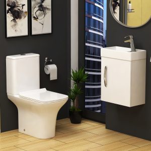 Are you Planning to Buy a toilet?