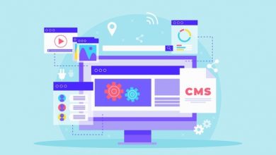 Photo of Design and development of CMS websites