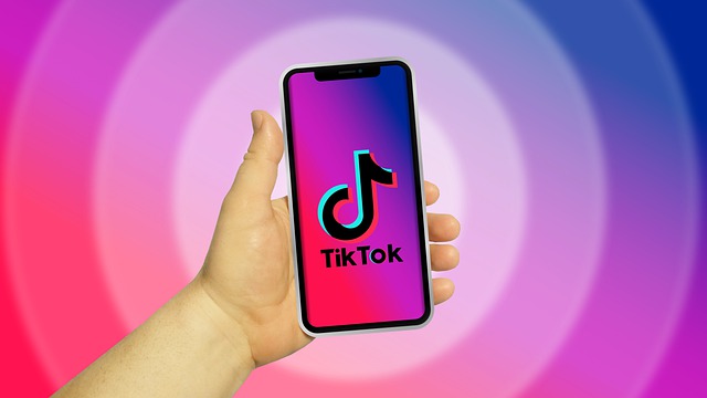 TikTok Views