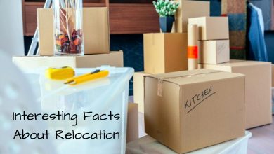 Photo of 12 Interesting Facts About Relocation that You May Not Know