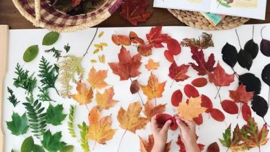 Photo of Nature craft ideas for kids you should remember to teach