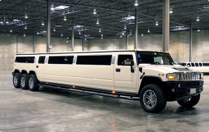 luxurious limousine