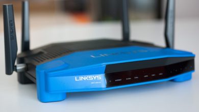 Photo of What are the Pivotal Settings of the Linksys E5600 WiFi Router?