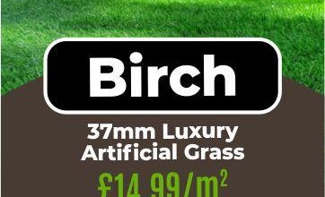 Photo of All You Need To Know About Artificial Grass Samples