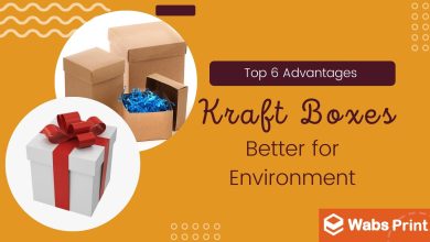 Photo of Top 6 Advantages of Kraft Boxes | Better for Environment