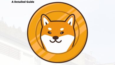 Photo of How to Buy Shiba Inu Coin?