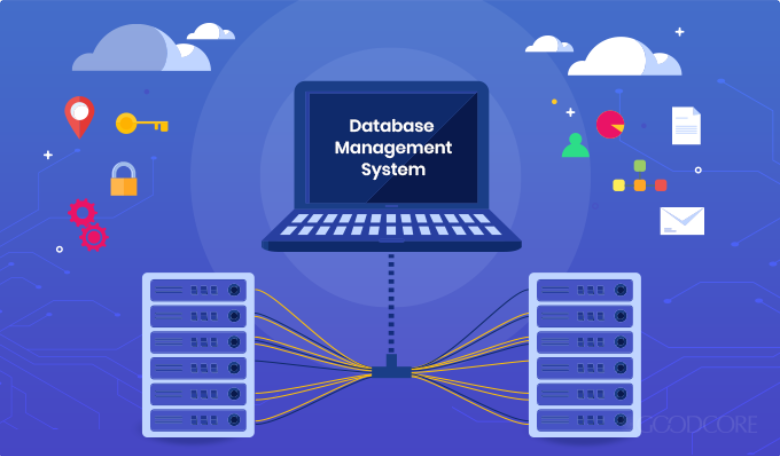 Database Management