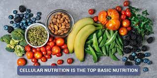 Photo of The most effective type of basic nutrition is cellular nutrition.