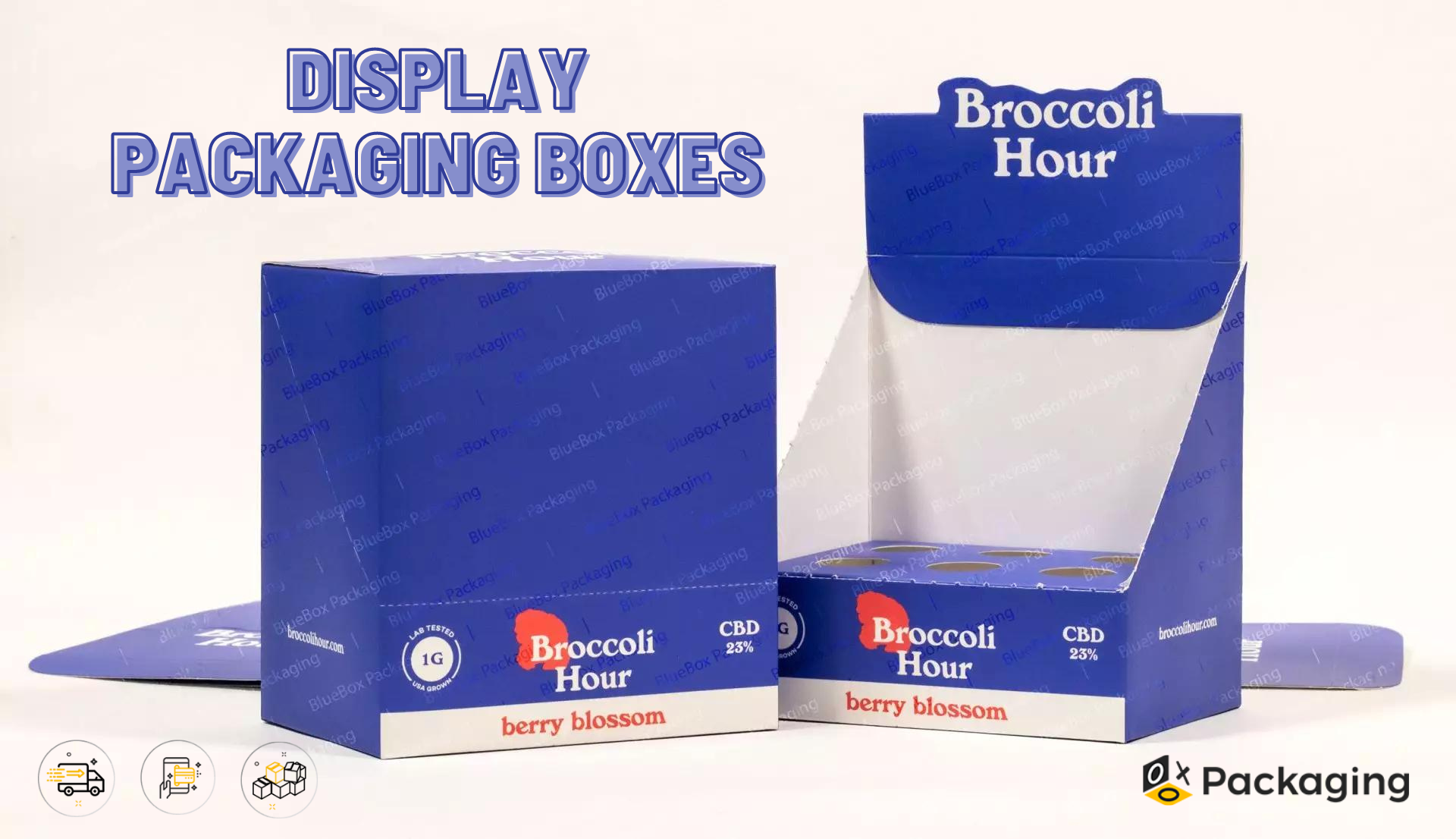 Display packaging boxes (2)