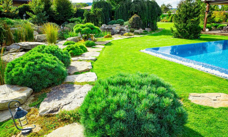 landscaping services near me